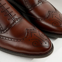 Kensington | Leather Wing-Tip Brogue Oxfords | 35053 Brown